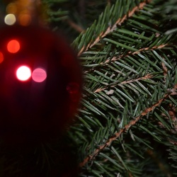 2016-12 France/St Malo/DSC_1101.JPG